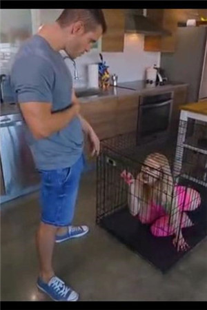 White-饲养可爱小性奴_(丝袜，美腿)