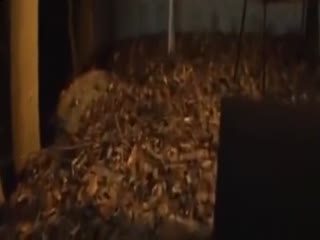 Sultry Shou Nishino gets screwed hardcore